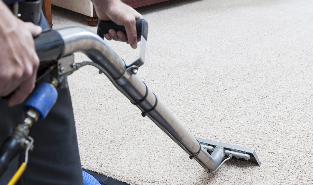Why Professional Carpet Cleaning is Worth Every Penny