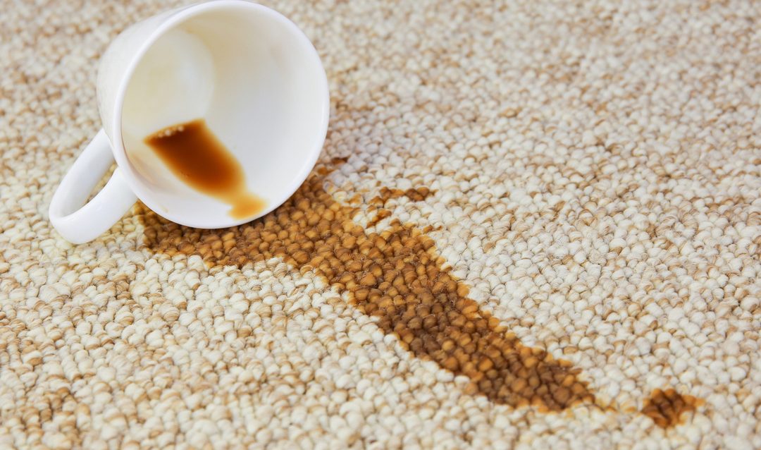The Right Way to Handle Carpet Spills | Expert Tips from Fitz2Kleen in Coventry